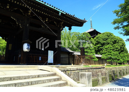 京都市　東寺 48023981