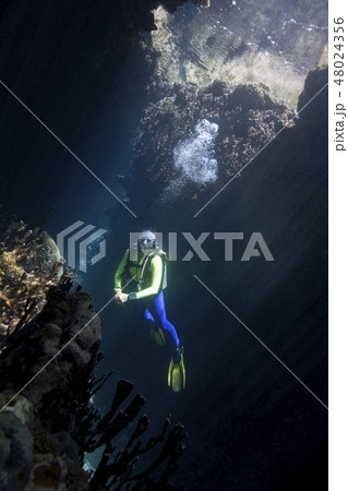 Scuba Diver 48024356