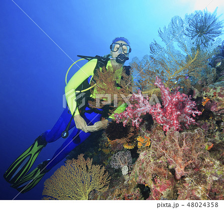 Diver Underwater 48024358