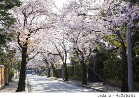 西海子小路 48026263