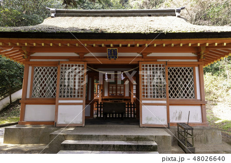 岡山　吉備津彦神社　子安神社 48026640