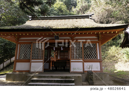 岡山　吉備津彦神社　子安神社 48026641