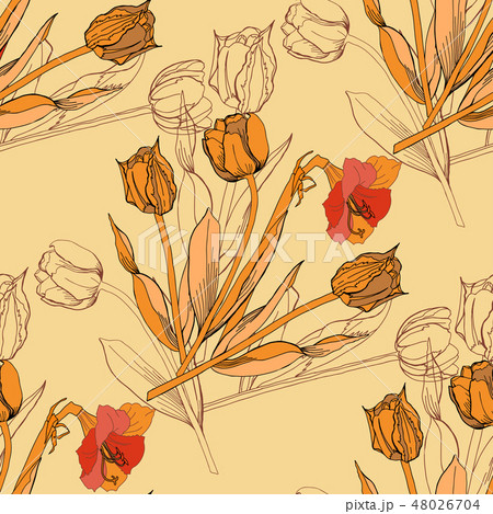 Seamless pattern with amaryllis and tulips.  48026704