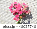 バラの花束 48027748