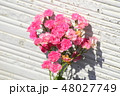 バラの花束 48027749