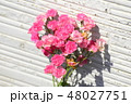 バラの花束 48027751