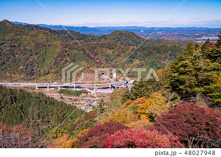 （東京都）紅葉した高尾山　八王子ジャンクション 48027948
