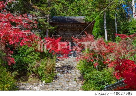 光明寺　京都　長岡京 48027995