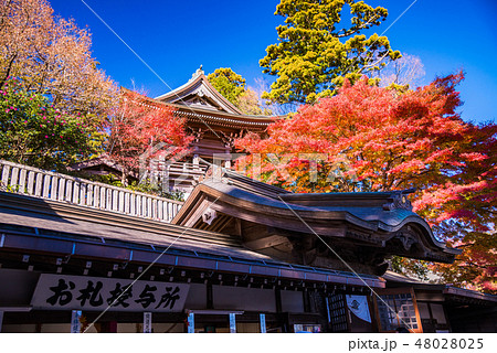 （東京都）紅葉した高尾山　薬王院 48028025