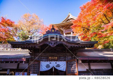 (東京都)紅葉した高尾山 薬王院 (東京都)紅葉した高尾山 薬王院 48028026