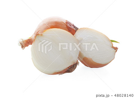 Fresh onion bulbs isolated on white background 48028140