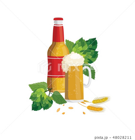 Beer bottle and glass cup with green hop with leaves and cereal in cartoon style. 48028211