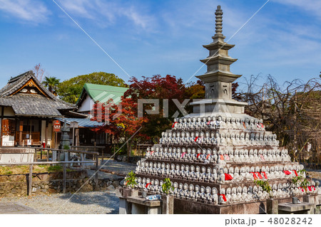 乙訓寺　京都　長岡京 48028242