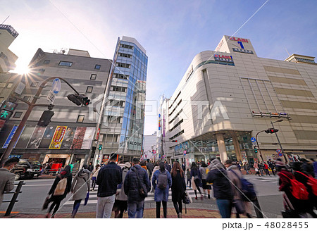 日本の東京都市景観  池袋の家電量販店などを望む（奥は「池袋駅 東口」） 48028455