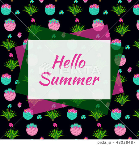 Summer web banner with cactus 48028487