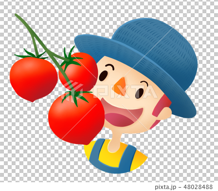 農作業（とまと実り） 48028488