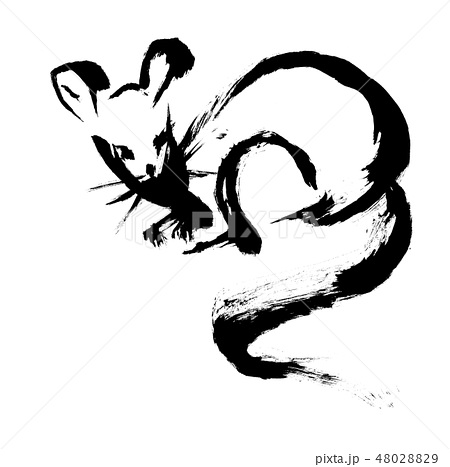 墨絵のネズミのイラスト素材 48028829 Pixta