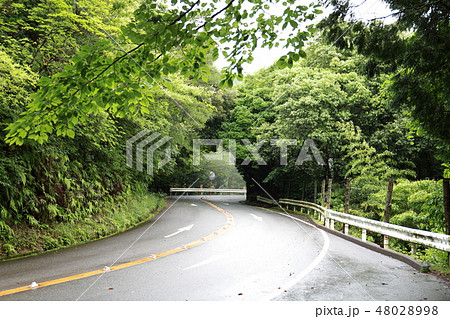 山の中の道路001 山の中の道路001 48028998