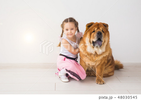 people, animals and children concept - girl with ginger dog of chow-chow on white background 48030545