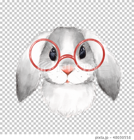 Watercolor portrait cute rabbit with glasses Watercolor portrait cute rabbit with glasses 48030558