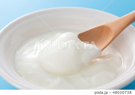 ヨーグルト 48030738