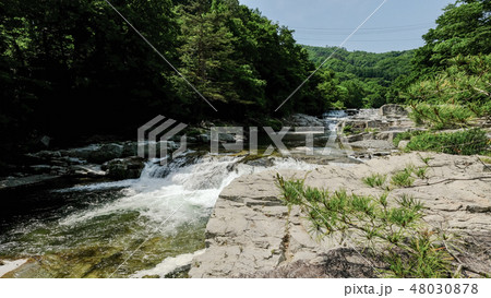 大川七滝 （岩泉町） 48030878