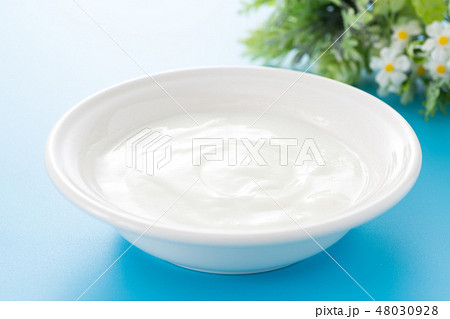 ヨーグルト 48030928