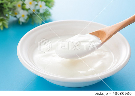 ヨーグルト ヨーグルト 48030930