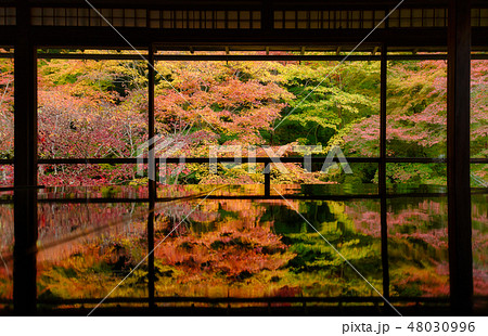 晩秋の瑠璃光院 晩秋の瑠璃光院 48030996