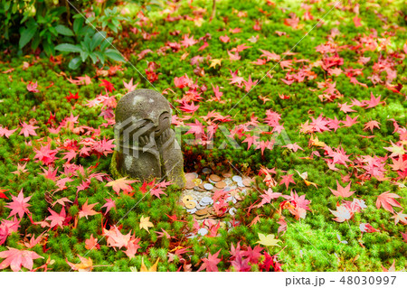 京都 圓光寺 十牛之庭のお地蔵様と紅葉 京都 圓光寺 十牛之庭のお地蔵様と紅葉 48030997
