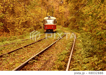 Vintage red tram 48032886