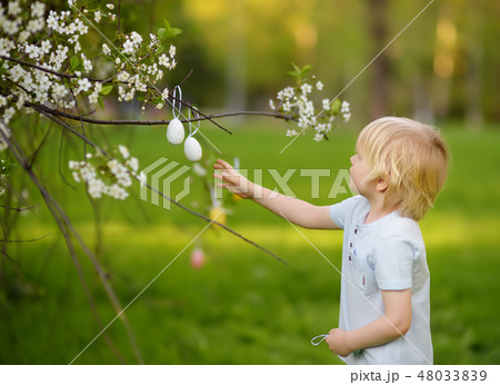 Boy hunts for easter egg on branch of tree. Boy hunts for easter egg on branch of tree. 48033839