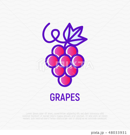 Grapes with leaf thin line icon Grapes with leaf thin line icon 48033931