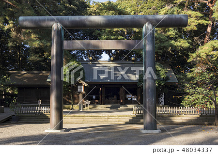 神社鳥居 48034337