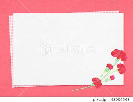 背景素材 壁紙とカーネーションのイラスト素材 48034543 Pixta