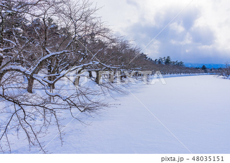 弘前城のお濠 48035151