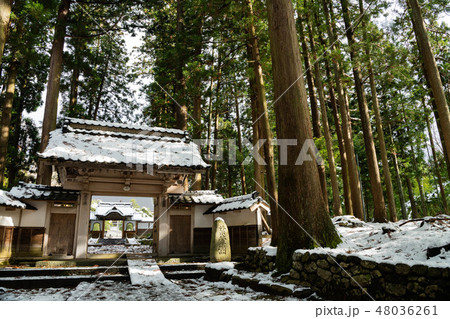 眼目山立山寺の中雀門 48036261