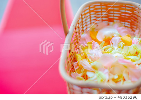 花びら 花びら 48036296