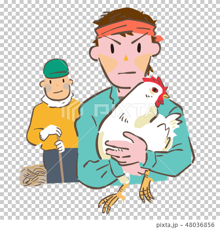 雌鶏を抱く養鶏場の男性 雌鶏を抱く養鶏場の男性 48036856