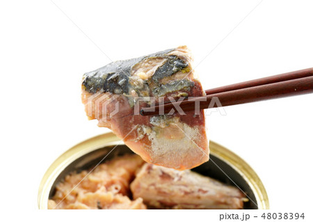 鯖の水煮　鯖缶 48038394