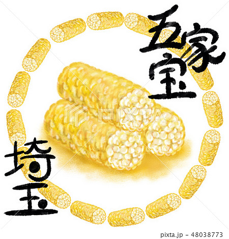 五家宝 48038773