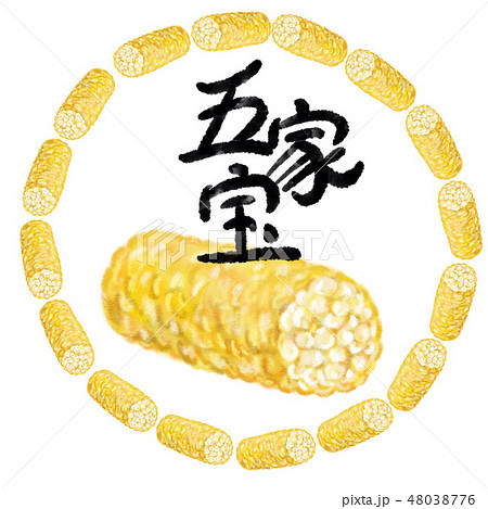 五家宝 五家宝 48038776