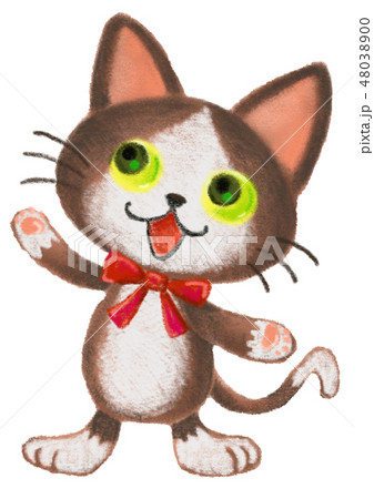 猫 48038900