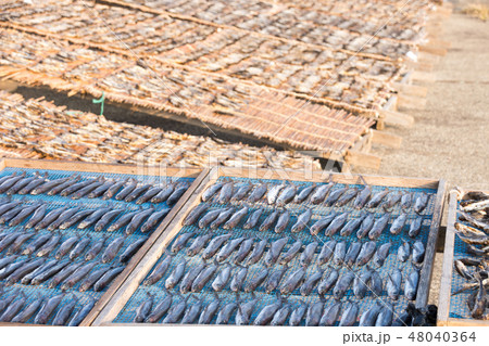 生月港の焼きあご干し 48040364
