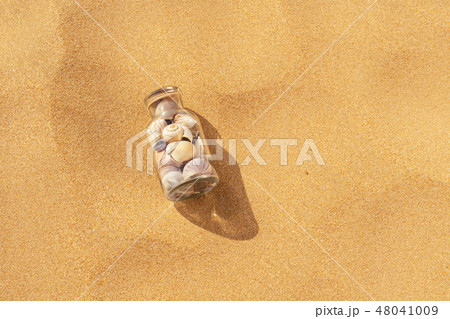 Seashells on summer beach Seashells on summer beach 48041009