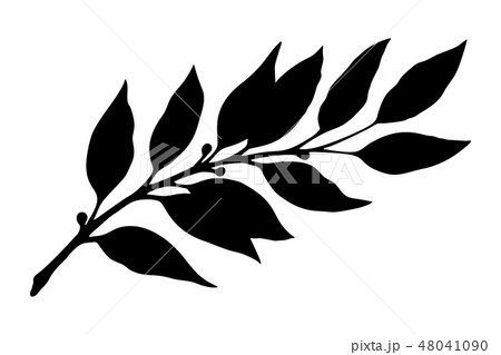 Laurel branch silhouette  vector  48041090