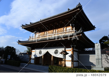伝通院 伝通院 48042079