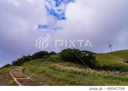 【静岡県】稲取の細野高原　風力発電風車 48042799