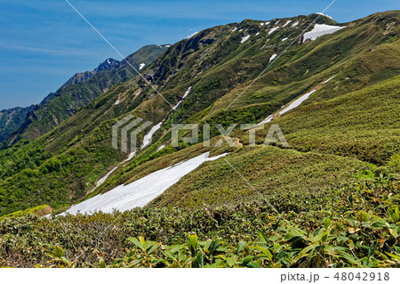 蓬峠付近から見る谷川岳と一ノ倉岳・武能岳 48042918
