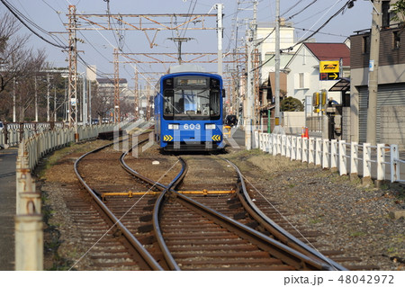 阪堺電車　阪堺電気軌道　【大阪府 大阪市～堺市】 48042972